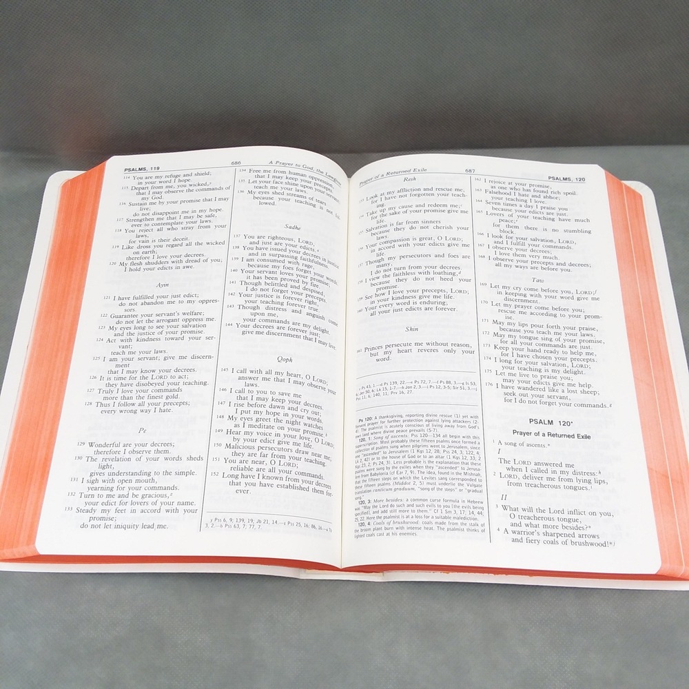 Saint Joseph Edition New American Bible Revised Psalms Large Type‎ Illustrated - Picture 6 of 14